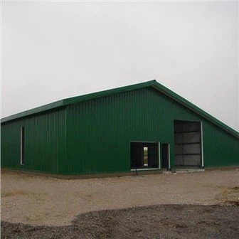Steel Structure Rhiav nrog Cargo Lift